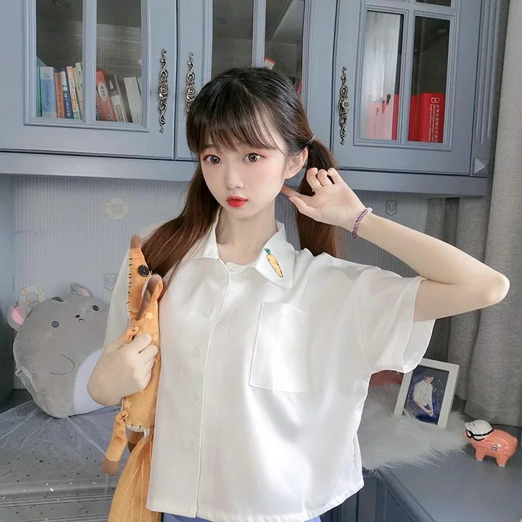 Women's Casual Carrot Embroidered Chiffon Shirts